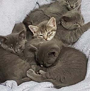 Meet your Posher, Debra